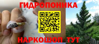 гидра Аргун