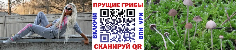 Псилоцибиновые грибы MAGIC MUSHROOMS  где найти наркотики  Асбест 