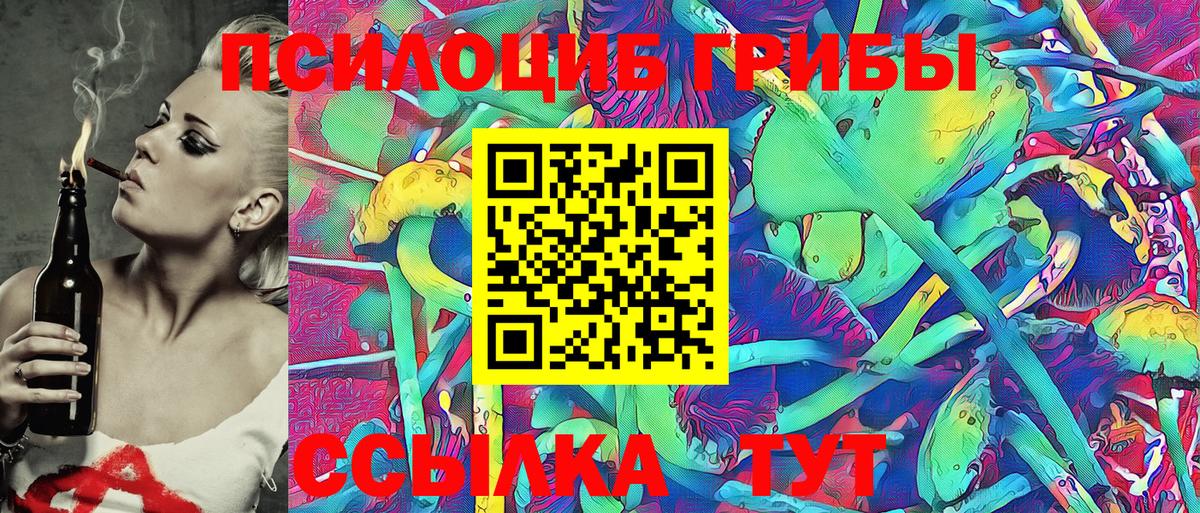 Галлюциногенные грибы Psilocybine cubensis Асбест